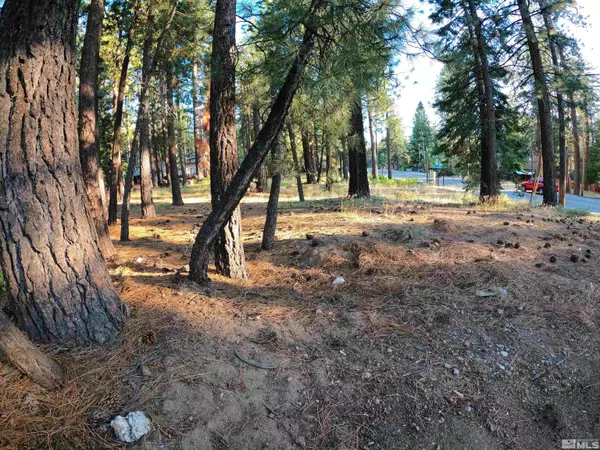 South Lake Tahoe, CA 96150,3806 Pioneer Trail