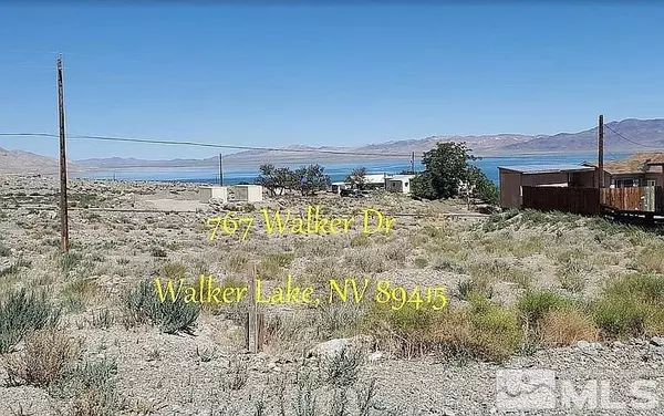 767 Walker Dr, Walker Lake, NV 89415