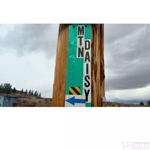 Reno, NV 89511,Mountain Daisy Rd