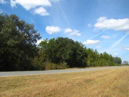 Vacant SE Winquepin Street #0, Lee, FL 32059