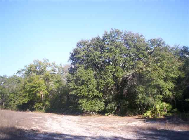 xxxx McCall Bridge Road #0, Quincy, FL 32351