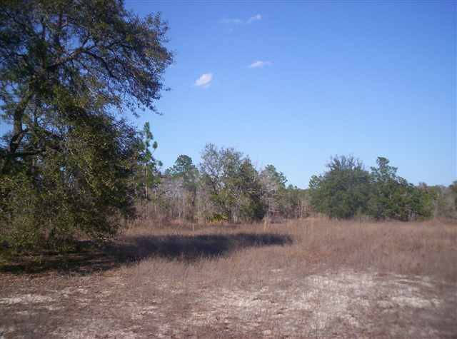 xxxx McCall Bridge Road #0, Quincy, FL 32351