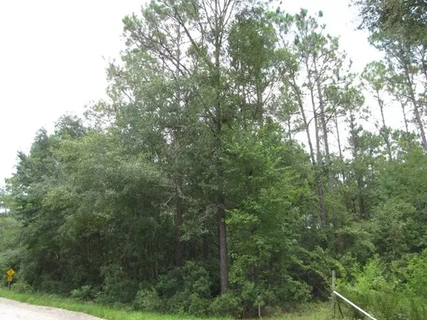 Vacant NE River Park Road #none, Lee, FL 32059