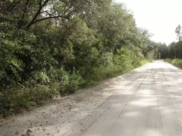 Vacant NE River Country Trail, Lee, FL 32059