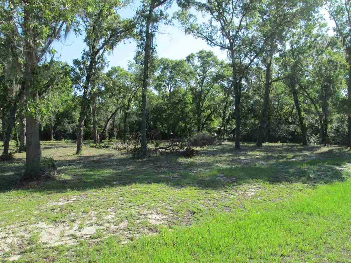 Perry, FL 32348,Unassigned E Live Oak Road