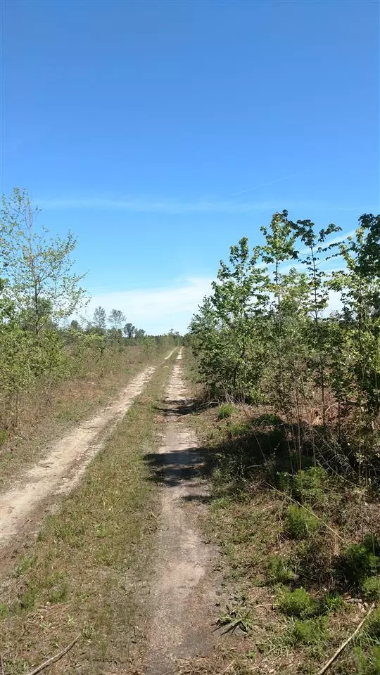 000 SW Wonderwood Road #0, Greenville, FL 32331