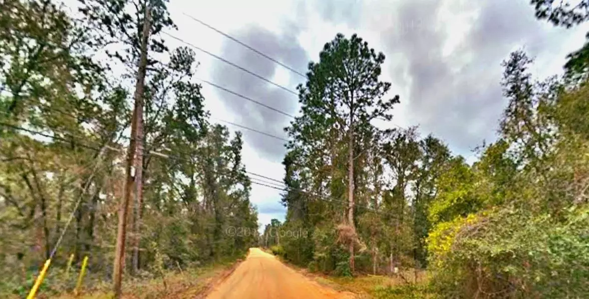 Lot 33 Gustafson Road #1, Other Florida, FL 32656