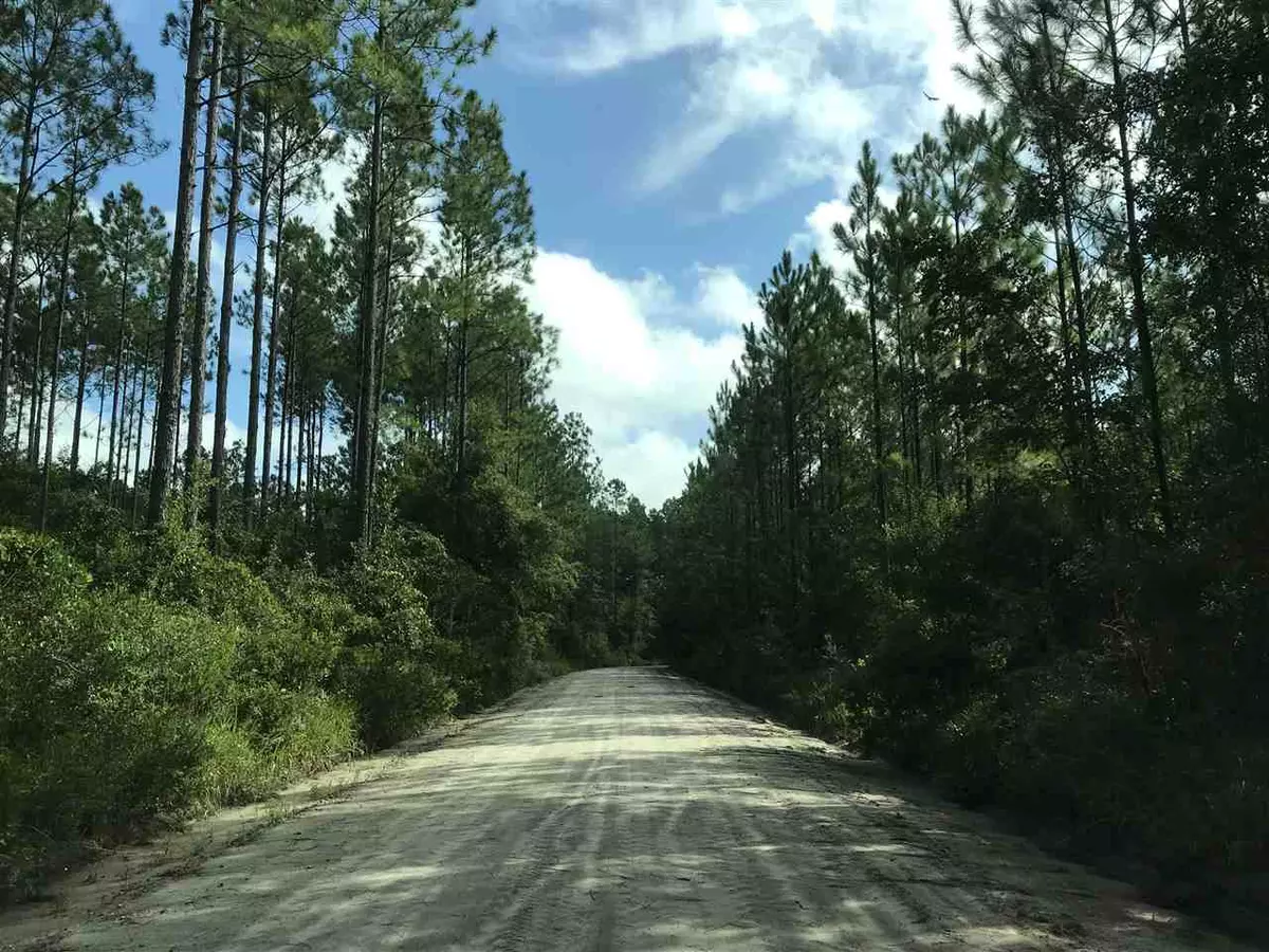 Sopchoppy, FL 32358,381 Pull Back Road #-