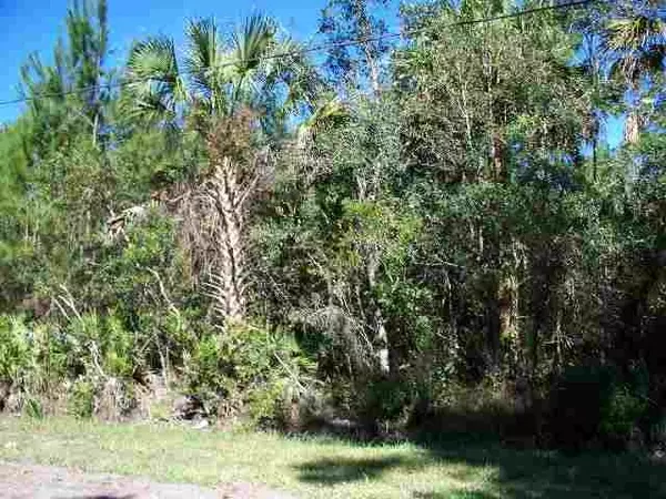 xx Forbes Street #0, St Marks, FL 32355