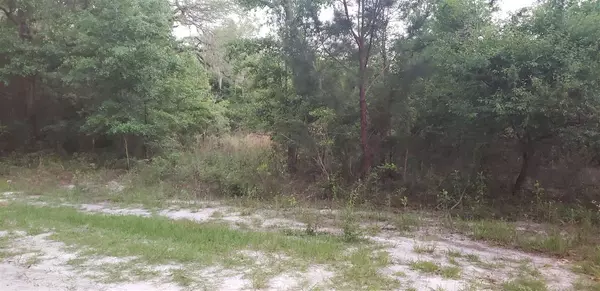 XXXX McPhaul Road #0, Crawfordville, FL 32327