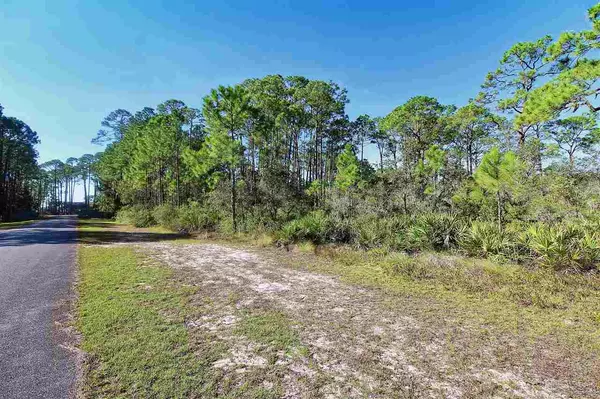 Panacea, FL 32346,Lot 23 Beechcraft Drive