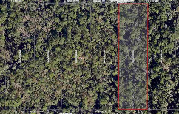 Track B Lutterloh Road #--, Woodville, FL 32305