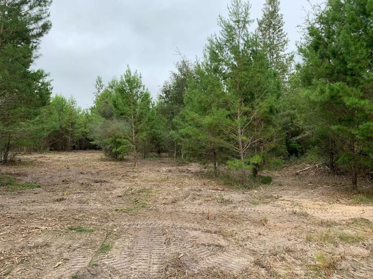 Lee, FL 32059,Vacant NE Beulah Church Road