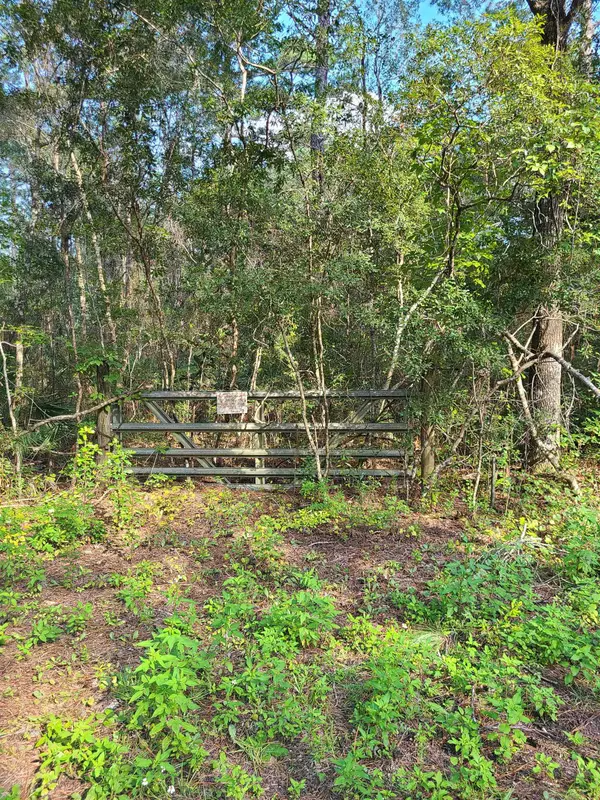 Sopchoppy, FL 32358,Persimmon Road