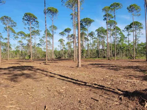 Lot 10 Pelican Way, Ochlockonee Bay, FL 32346