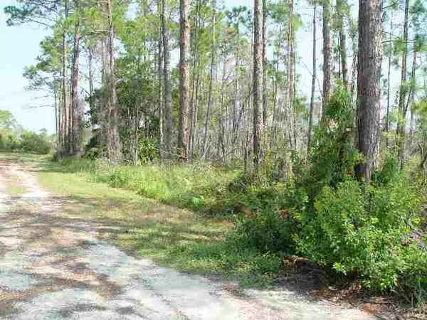 34 Lakeview Drive #1, Bald Point, FL 32346