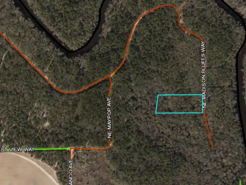 0 NE Madison Bluffs Way, Lee, FL 32059