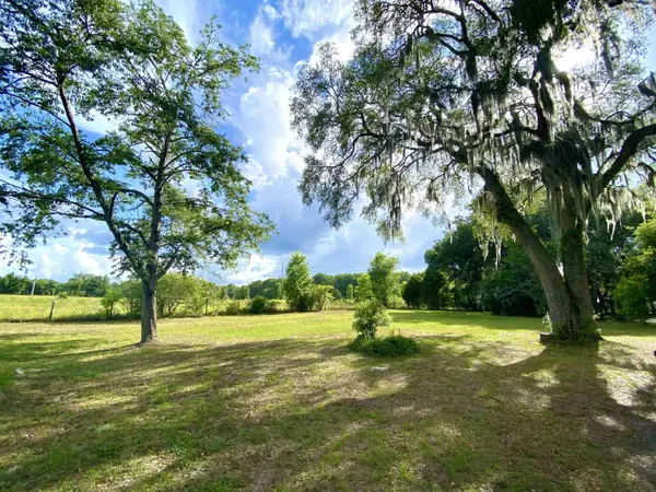 Other Florida, FL 32680-00,68 410th Street