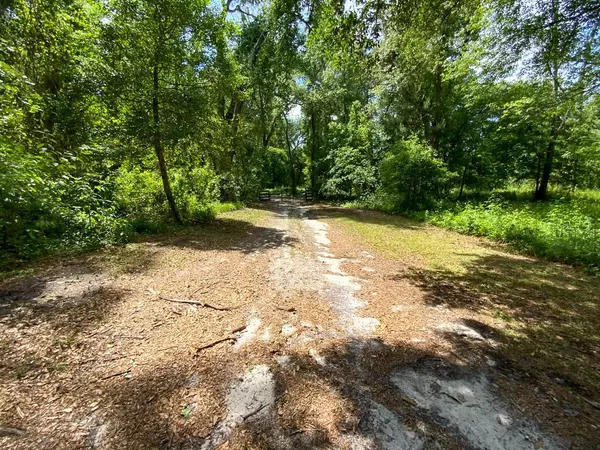 Madison County, FL 32340,Vacant N State Road 53