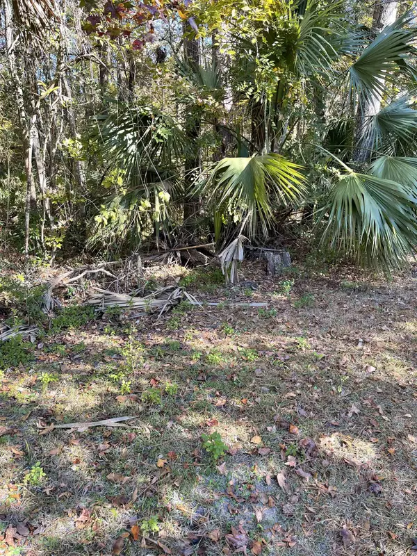 Crawfordville, FL 32327,7996 Coastal Highway