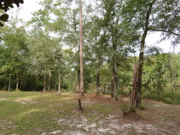 Sopchoppy, FL 32358,00 Emmie Magdalene Bluff