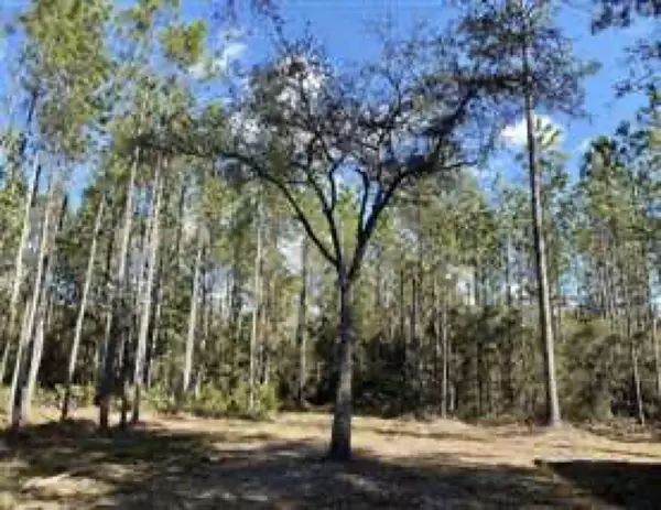 Madison County, FL 32340,Vacant SW Hike Lake Road