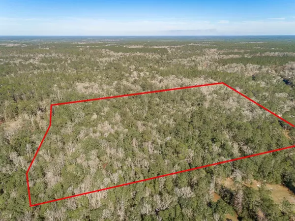 Sopchoppy, FL 32358,Lot 35-A Seminole Lane
