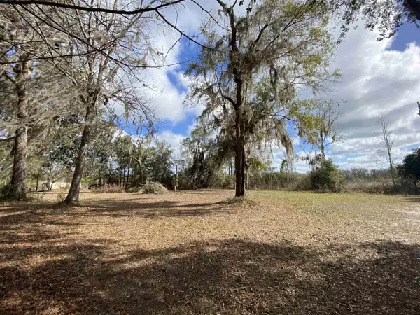 Lamont, FL 32336,Vacant SW Overstreet Avenue #0