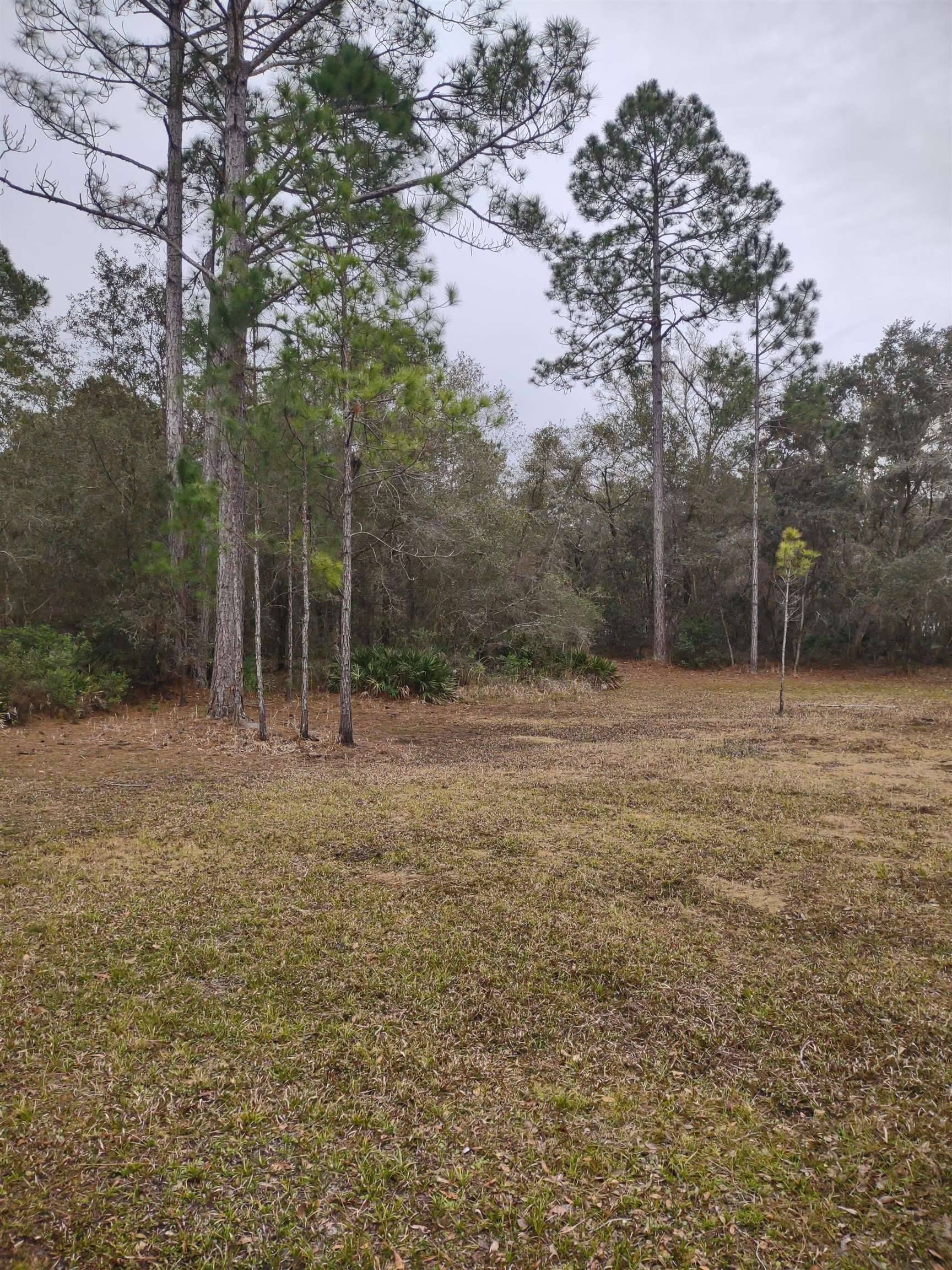 1645 Little Warrior CT,  Perry,  FL 32348