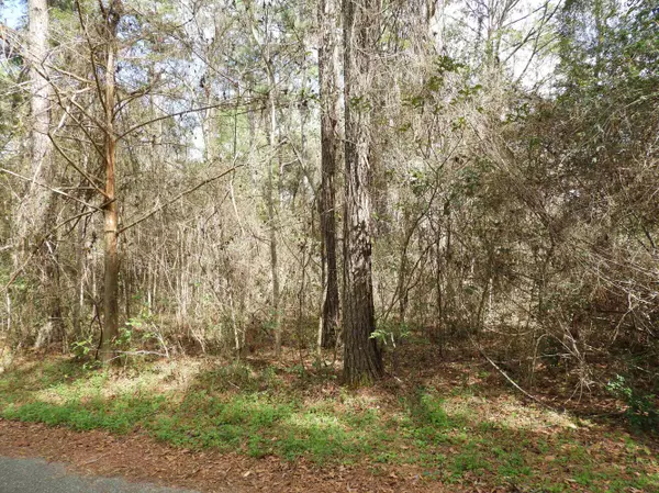 Tallahassee, FL 32311,xx Augustine Court