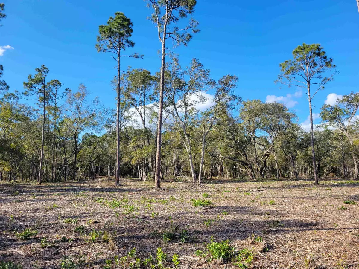 Ochlockonee Bay, FL 32346,Lot 25 Pelican Way