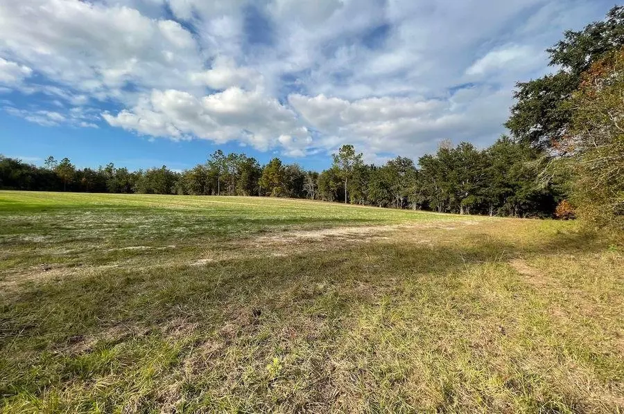 Shady Grove Road, Grand Ridge, FL 32442