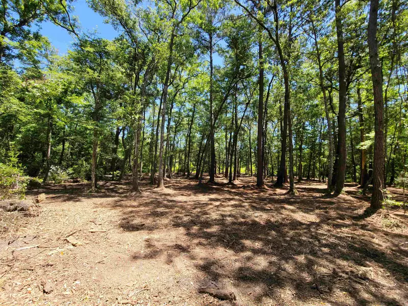 1.23 Acre Wood Duck Drive #-, Monticello, FL 32344