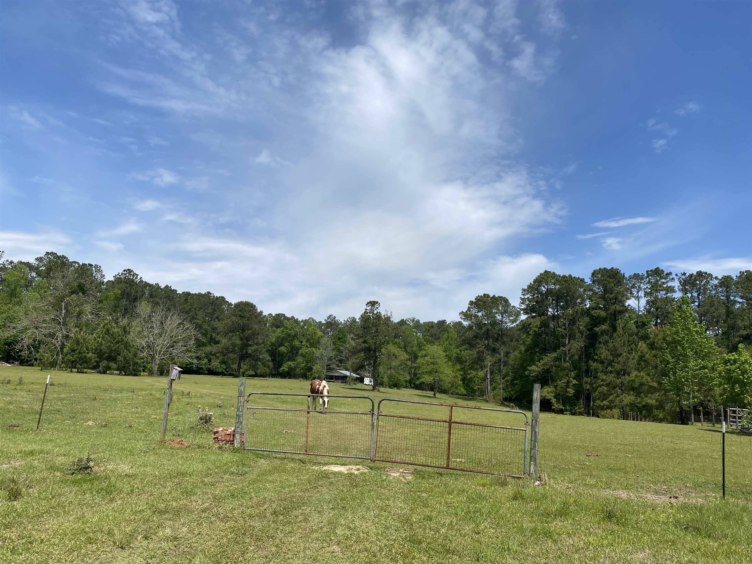 200 BEAVER CREEK Road, Havana, FL 32333