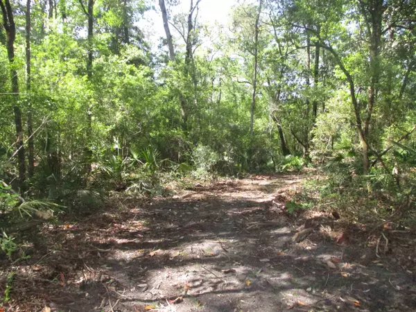 Sopchoppy, FL 32358-8008,XX Seminole Lane