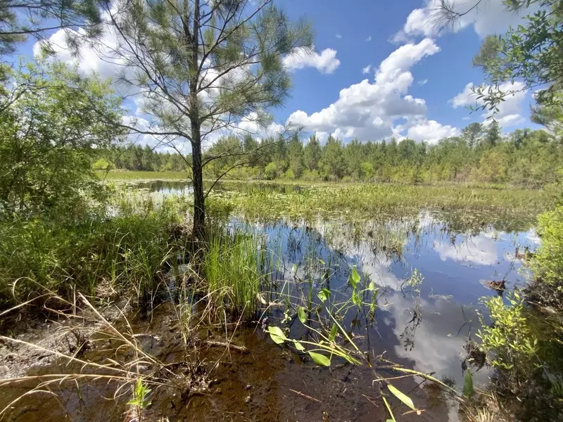 Vacant SW Captain Brown Road, Madison County, FL 32340