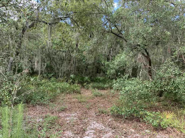 Perry, FL 32348,tbd Fiddlers Way