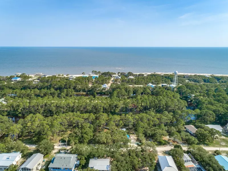 202 Harbor Circle, Alligator Point, FL 32346