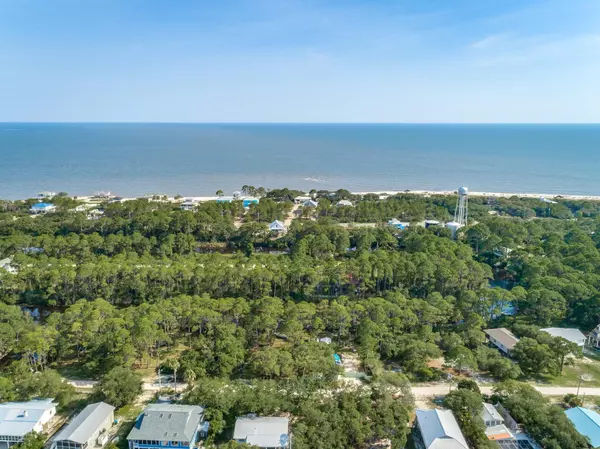 202 Harbor Circle, Alligator Point, FL 32346