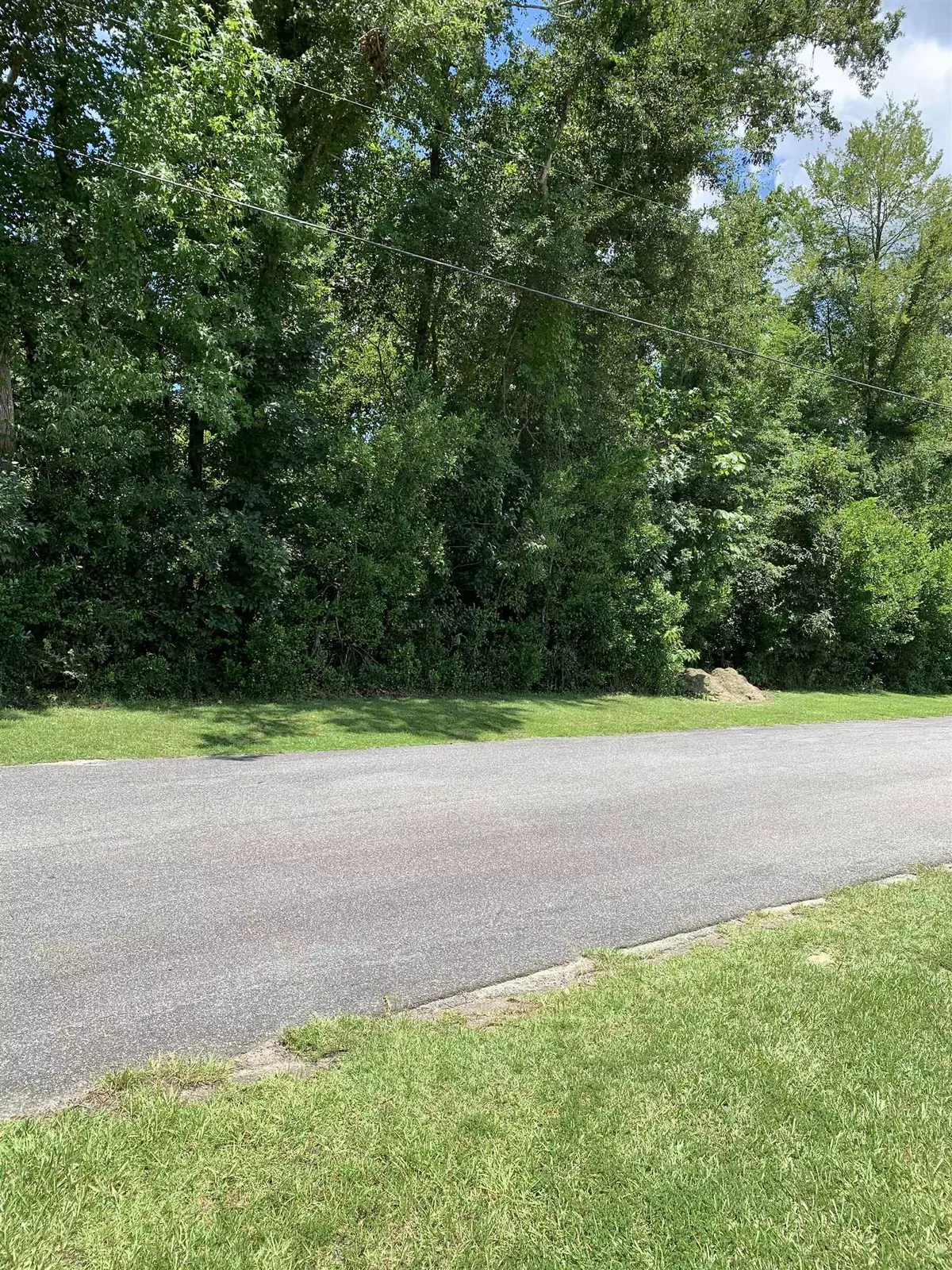 Chattahoochee, FL 32324,XXX Spring Lane