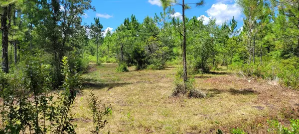 Perry, FL 32347,Lot 20 Mcmullen Bridge Road Road