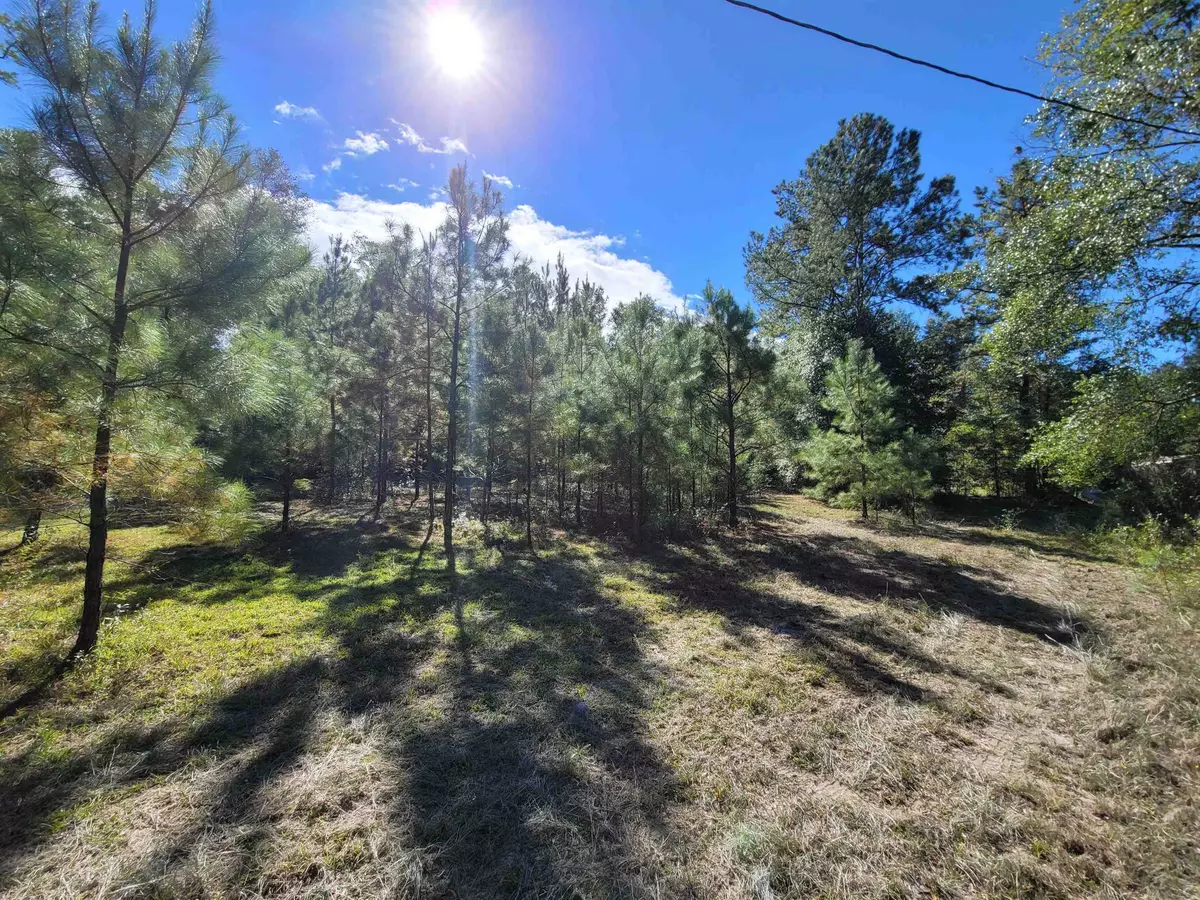 Tallahassee, FL 32317,Lot 1 Cap Tram Road #--