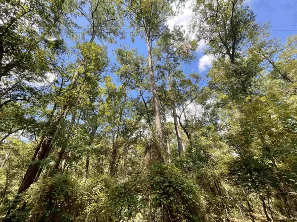 Jasper, FL 32052,Vacant SW 75th Terrace