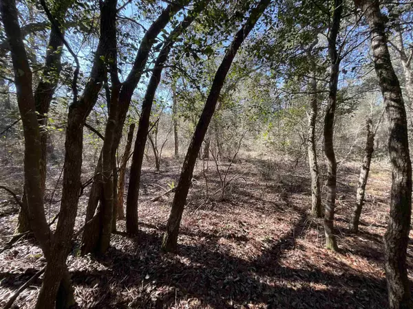 Jasper, FL 32052,Vacant NW 22nd Terrace