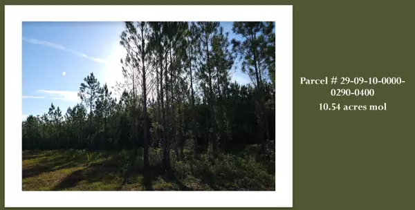 Steinhatchee, FL 32359-6666,0 358 Highway