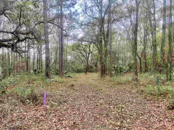 Perry, FL 32347,00 Paul Poppell Road