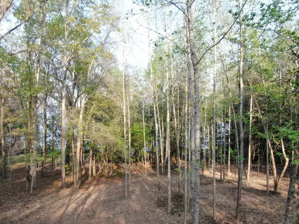 Tallahassee, FL 32310,Lot 10 Williams Landing Road