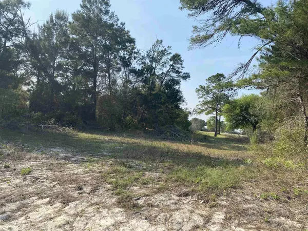 Carrabelle, FL 32323,273 ROYAL TERN Way