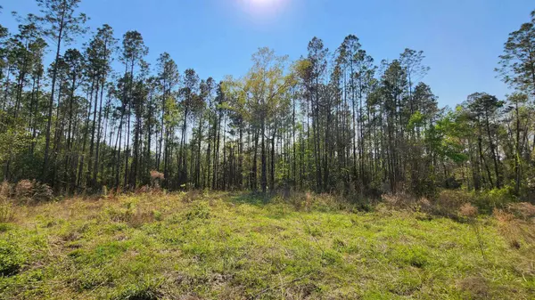 22478 Ransom Road, Hosford, FL 32334