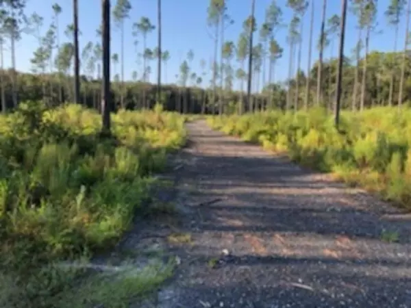 Lot 49 SW Oregon Trail, Greenville, FL 32331